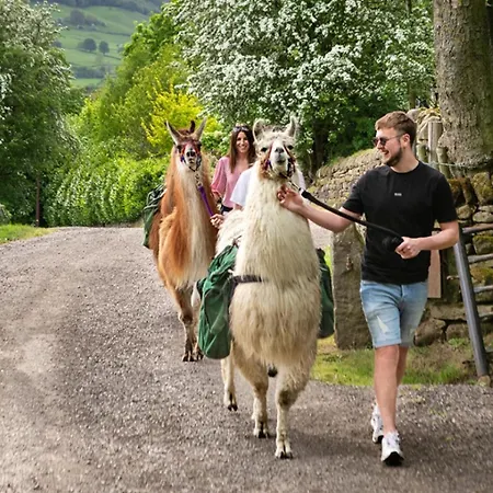 Apartamento House 4 - Cheltenham Parade Loft *